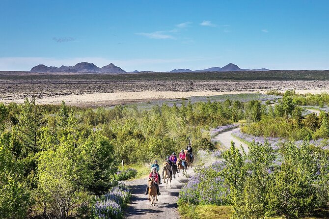 Horseback Riding Tour in Iceland - Ishestar Centre Prep: Gear, Safety, and Getting Oriented Fast