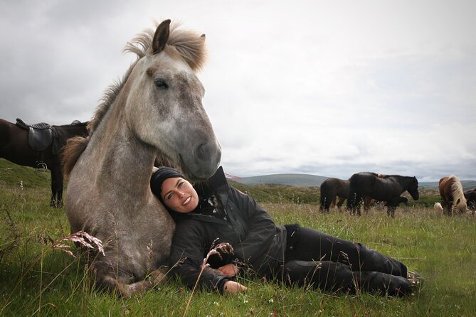 Horseback Riding Tour in Iceland - Route Feel: A Ride That Balances Thrill and Ease