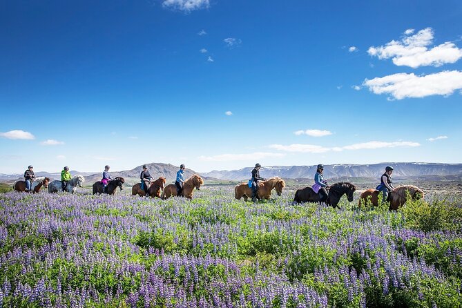 Horseback Riding Tour in Iceland - Should You Book Ishestar for a 50-Minute Horseback Ride?