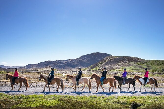 Horseback Riding Tour in Iceland - The Icelandic Horse: Comfort for Beginners and Real Coaching When You Need It