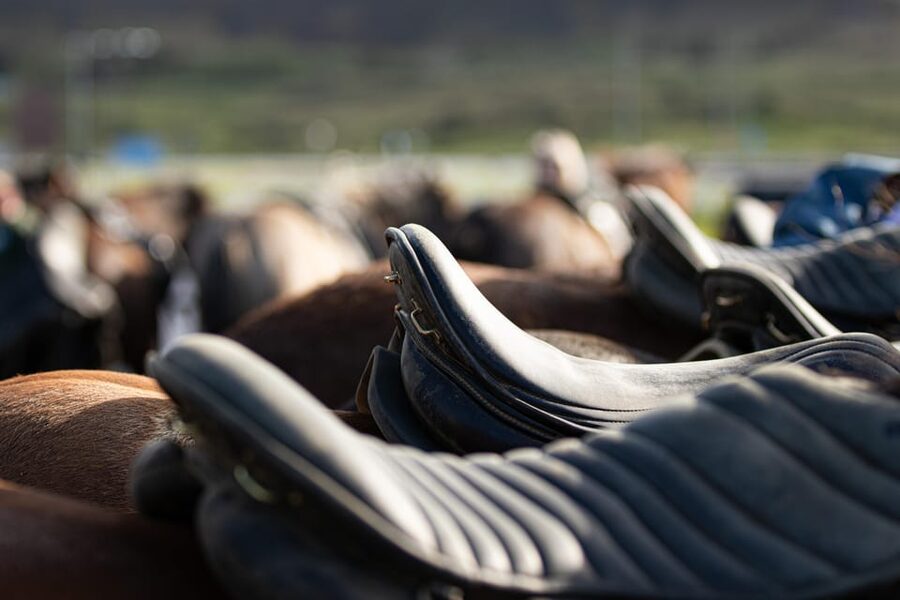 Hveragerdi: Countryside Charm Horse Riding Tour - From Vellir to Ölfus and back: how the hour in the saddle is paced