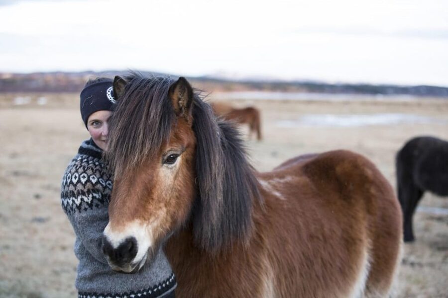 Hveragerdi: Countryside Charm Horse Riding Tour - The small rules that affect your packing (and your photo plans)