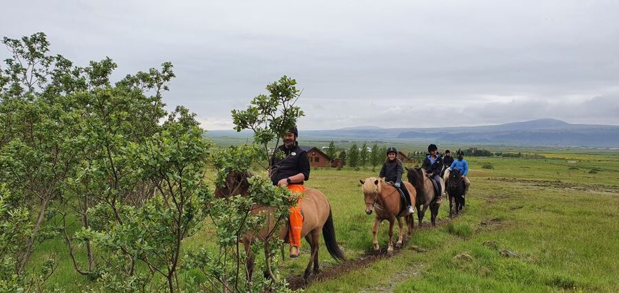 Hveragerdi: Reykjadalur (Hotspring Valley) Horse Riding Tour - Hveragerði Check-In: Where the Tour Starts (and How to Show Up Easy)