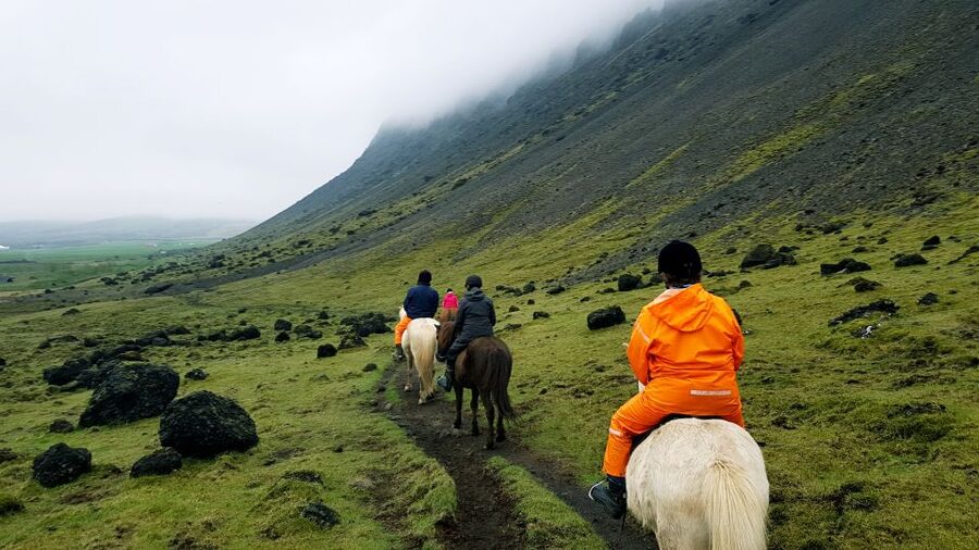 Hveragerdi: Reykjadalur (Hotspring Valley) Horse Riding Tour - Meeting the Horses: Pure Icelandic Breed, Matched to Your Level