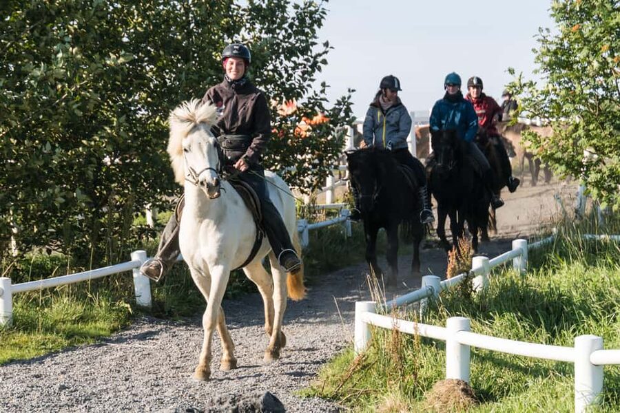Hveragerdi: The Siggi Horse Riding Tour - Key things to know before you go