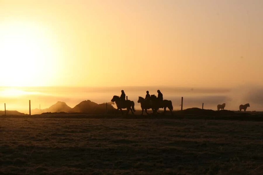 Hveragerdi: The Siggi Horse Riding Tour - Hveragerði Horse Riding: Why This Area Works for a Short Ride