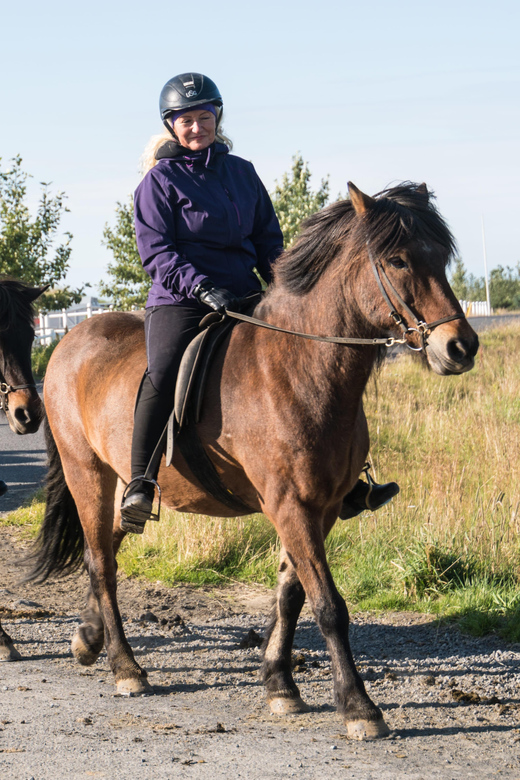 Hveragerdi: The Siggi Horse Riding Tour - Getting a Feel for Tölt: When the Icelandic Gait Shows Up
