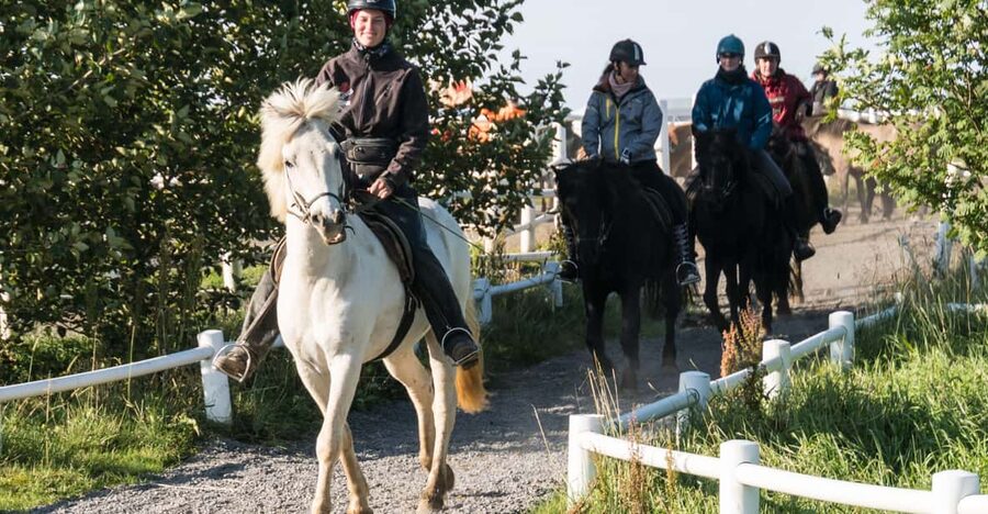 Hveragerdi: The Siggi Horse Riding Tour - Horses You Can Trust: Comfort, Care, and Temperament