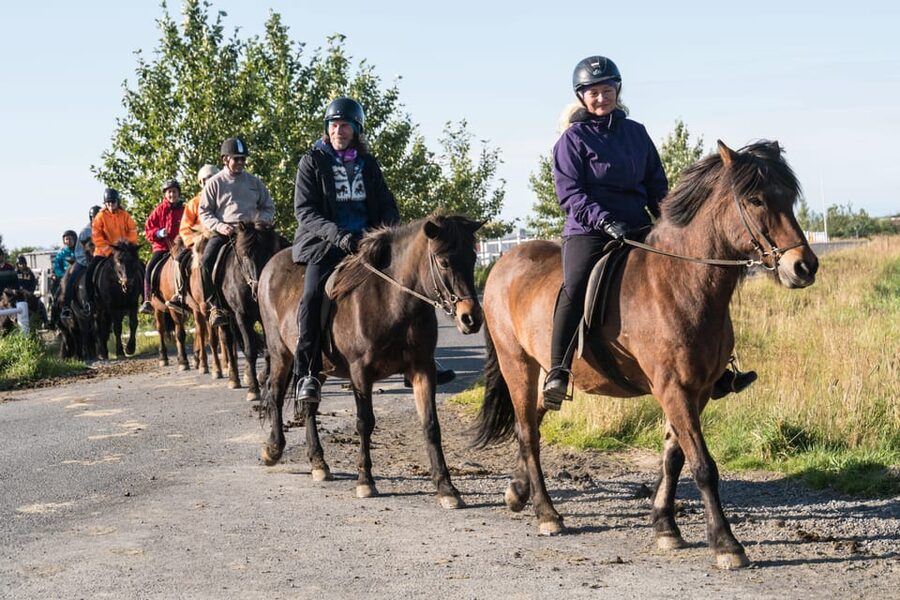 Hveragerdi: The Siggi Horse Riding Tour - Price and Value: Is $136 Fair for This Ride?