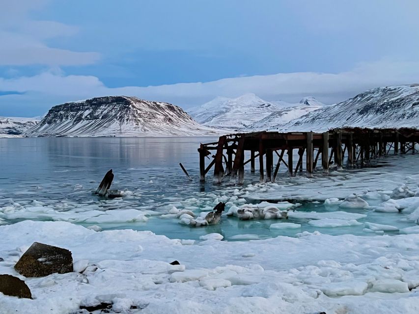 Iceland in a nutshell, private Super Jeep - Deildartunguhver hot spring: Iceland’s energy system in one stop