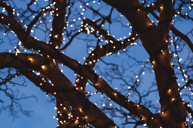 Iceland's Christmas Myths and Traditions - Reykjavík walking tour - Starting Point: Skólavörðustígur Meets the Holiday Mood