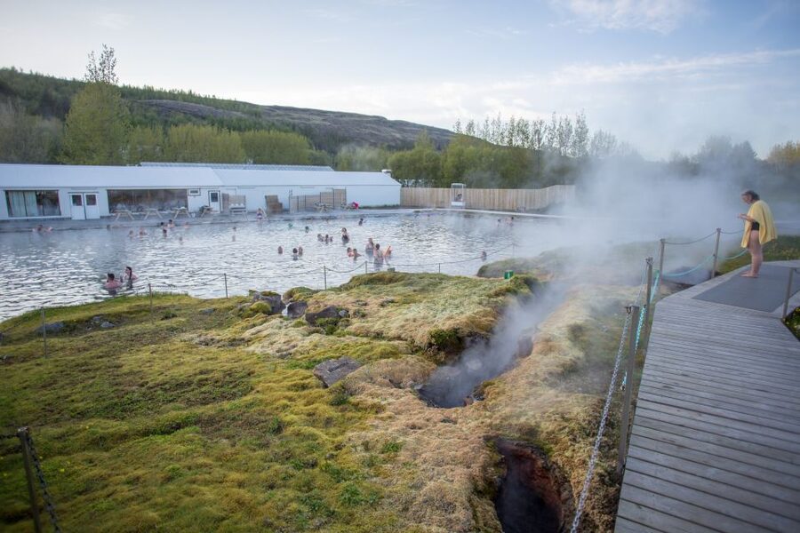 Iceland Secret Lagoon Admission Ticket - Food and drinks: simple, but part of the break