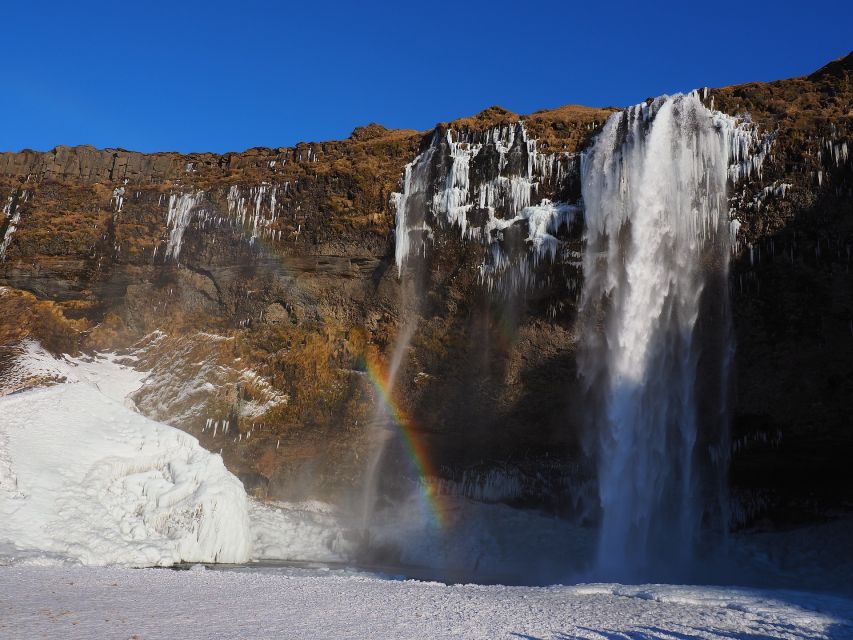Iceland: South Coast and Northern Lights Tour - Northern Lights hunt: weather checks and a trained guide at night