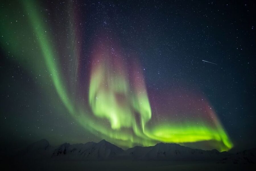 Iceland: South Coast and Northern Lights Tour - Price and value: what $173 buys (and what it doesn’t)