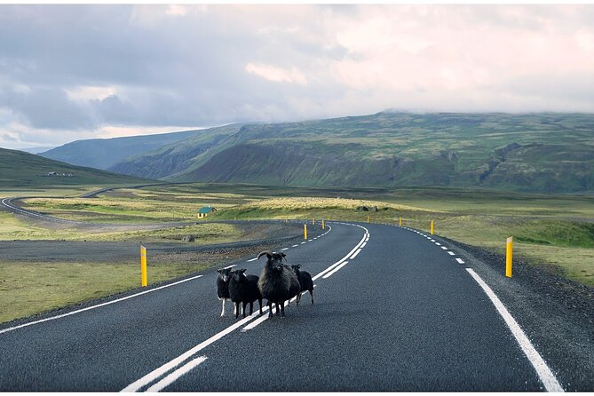 Iceland South Coast Tour with Pickup - Solheimajokull Glacier: Short Time, Real Contact With Ice