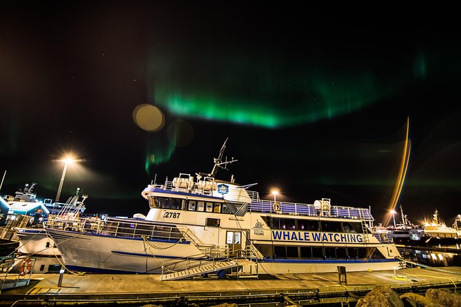 Iceland Super Saver: Northern Lights Cruise plus Whale-Watching Tour from Reykjavik - Thermal Overalls, Heated Seats, and Sea-Sickness Tablets