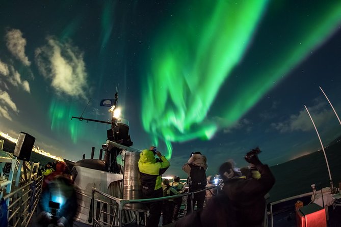 Iceland Super Saver: Northern Lights Cruise plus Whale-Watching Tour from Reykjavik - Weather, Rough Seas, and Your Best Strategy
