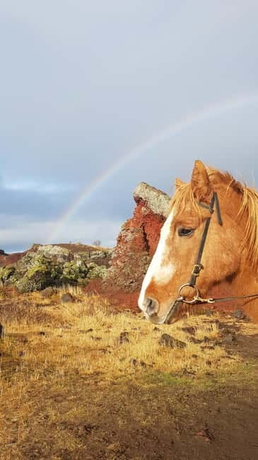 Iceland: Volcanic Landscape Horse Riding Tour - Key points before you book
