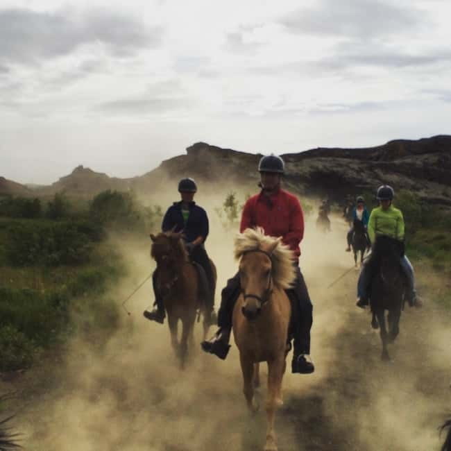 Iceland: Volcanic Landscape Horse Riding Tour - Free Photos: A Surprisingly Good Value Add