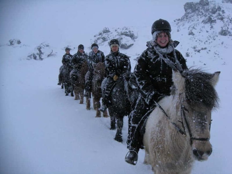 Iceland: Volcanic Landscape Horse Riding Tour - Price, Timing, and Practical Value for a 2-Hour Ride