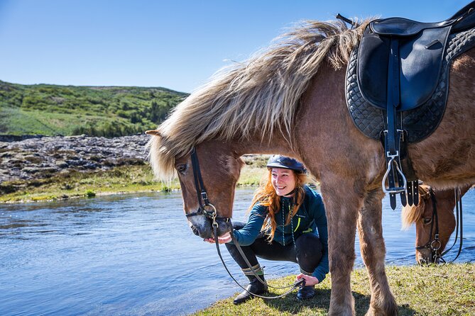 Icelandic Horse Riding and Whale Watching Tour from Reykjavik - Key Things I’d Watch For
