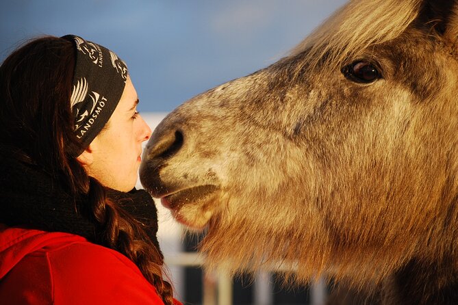 Icelandic Horse Riding and Whale Watching Tour from Reykjavik - Timing, Transfers, and Meeting Ishestar Stables