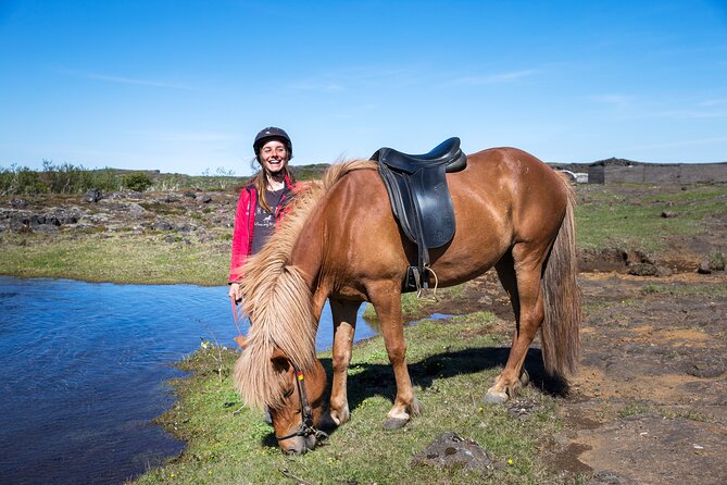 Icelandic Horse Riding and Whale Watching Tour from Reykjavik - Boat Comfort: Deck Time, Coveralls, and Wildlife Odds