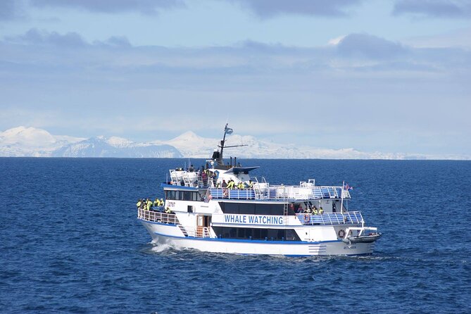 Icelandic Horse Riding and Whale Watching Tour from Reykjavik - Included Gear and Small Comforts That Save You Hassle