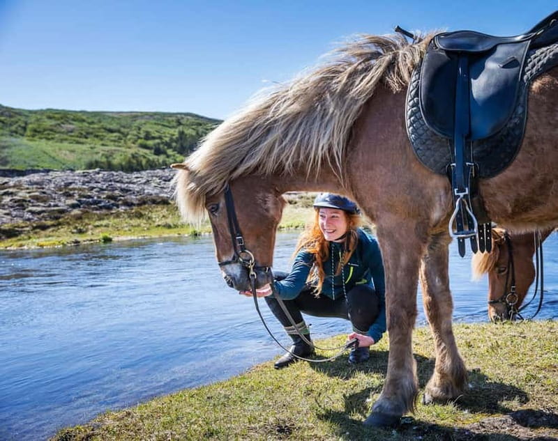Icelandic Horse Riding Tour & Pickup Option from Reykjavik - Quick take on this Reykjavik horse ride
