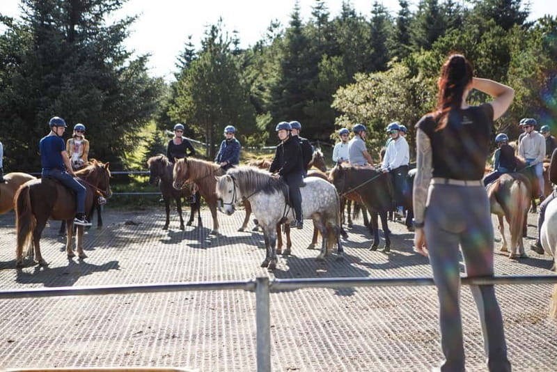Icelandic Horse Riding Tour & Pickup Option from Reykjavik - The tour flow: pickup, stables prep, the ride, and the Reykjavík drop-off