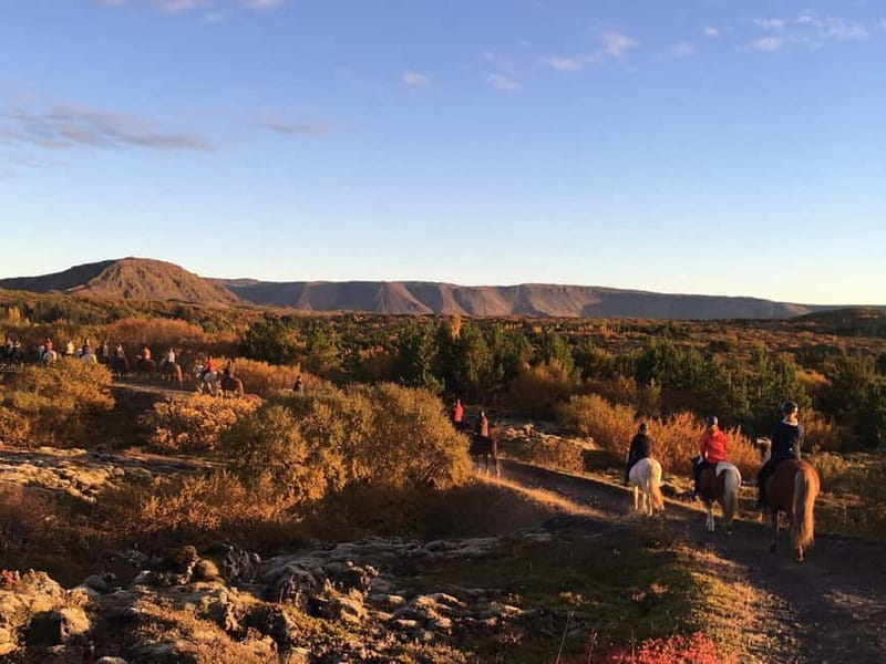 Icelandic Horse Riding Tour & Pickup Option from Reykjavik - Price and value at about $135 per person: what you’re buying
