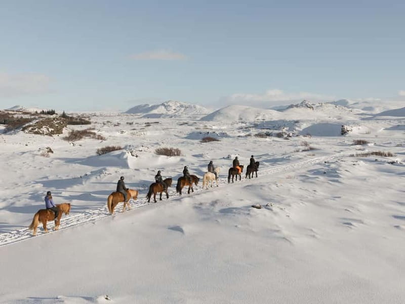 Icelandic Horse Riding Tour & Pickup Option from Reykjavik - From helmet to rubber boots: what’s provided, and what to bring anyway