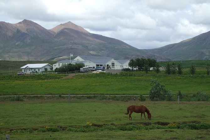 Icelandic Horseback Riding Tour Including Pick Up from Reykjavik - Reykjavik pickup that gets you to Laxnes Horse Farm fast