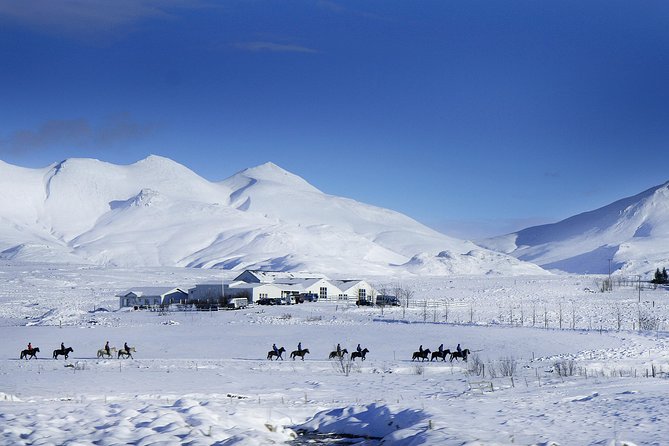 Icelandic Horseback Riding Tour Including Pick Up from Reykjavik - The trail ride: tölt, river crossings, and countryside near Reykjavík