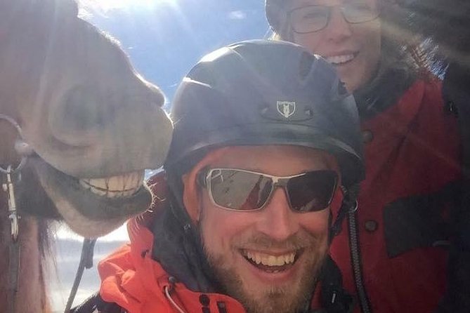 Icelandic Horseback Riding Tour Including Pick Up from Reykjavik - The farm’s family-run vibe and the warm-up after riding
