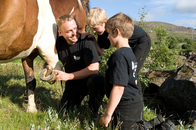 Icelandic Horseback Riding Tour Including Pick Up from Reykjavik - Who should book, and who might want to reconsider