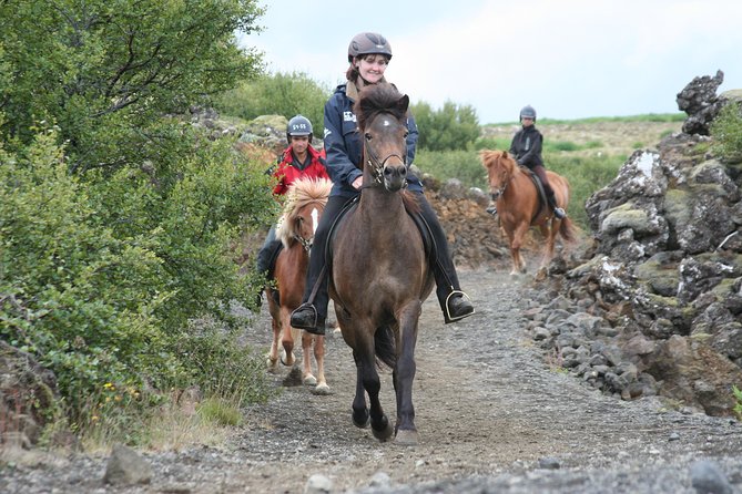 Icelandic Horseback Riding Tour with Pickup Option from Reykjavik - Quick Hits Before You Go