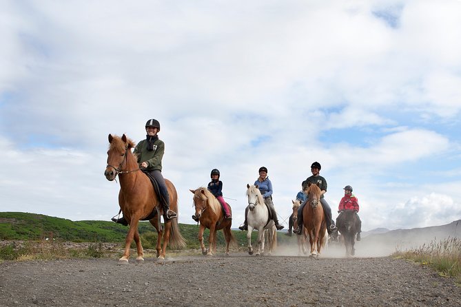 Icelandic Horseback Riding Tour with Pickup Option from Reykjavik - Icelandic Horses and the Tölt Gait You’ll Actually Feel