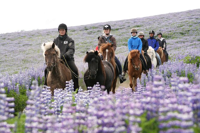 Icelandic Horseback Riding Tour with Pickup Option from Reykjavik - What Happens Before and After the Ride