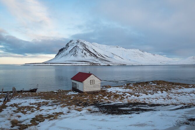 Icelands Reykjavik Self Guided Walking Audio Tour - Should You Book This Reykjavik Self-Guided Walking Audio Tour?