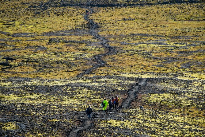 Inside the Volcano: Small-Group Tour and Lava Field Hike - Your guide’s role: turning geology into a story you can picture