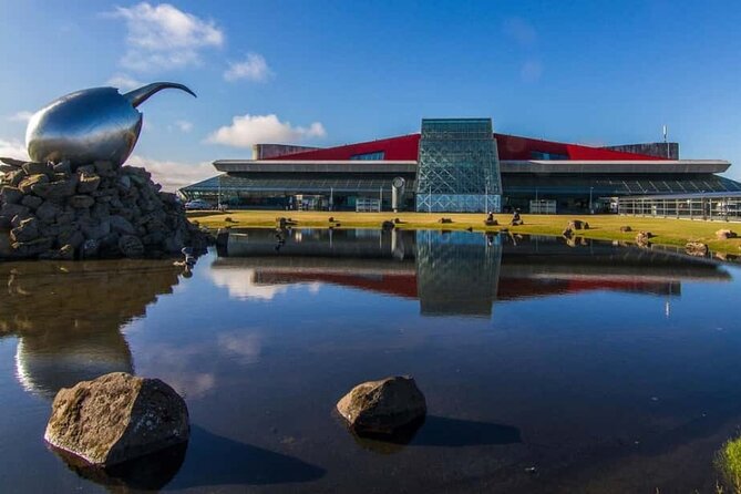 Keflavik Airport Transfer to /or From Reykjavik, Iceland - Real-Life Confidence: What Drivers Like Elias Bring to the Experience