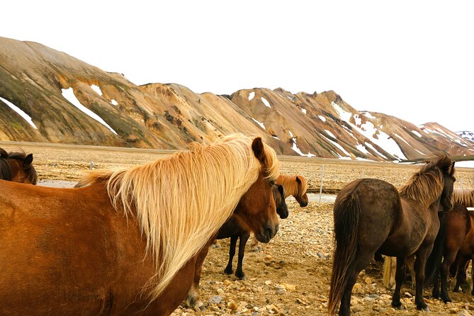 Landmannalaugar Hiking, Haifoss Waterfall and Hot Springs Tour - Bláhylur Crater Lake: The Quick Volcanic Side Trip That Works