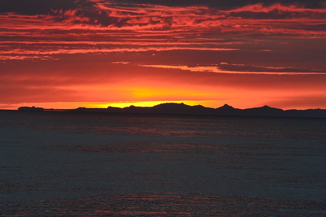Magical Whales in the Midnight Sun | from Reykjavik - Cold-Water Reality: Coveralls, Indoor Space, and Motion Considerations