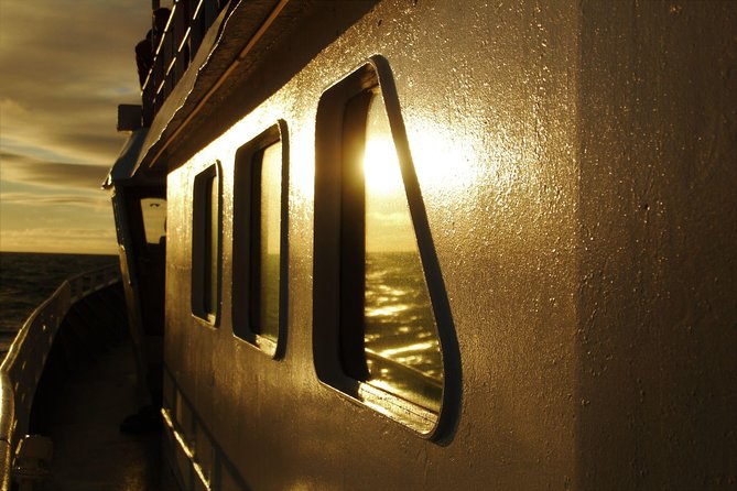 Magical Whales in the Midnight Sun | from Reykjavik - The Onboard Show and Guide Commentary: Learning Without Making It a Lecture