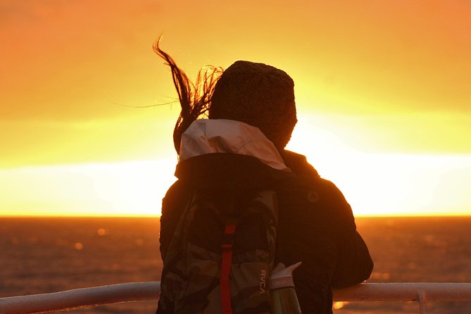 Magical Whales in the Midnight Sun | from Reykjavik - The 2.5-Hour Water Time: Where You Actually Spot Whales