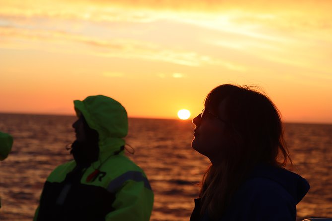 Midnight Sun Whale Watching from Reykjavik - The real action zone: heading out to Faxaflói Bay