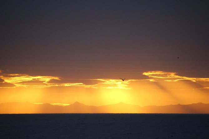 Midnight Sun Whale Watching from Reykjavik - Comfort versus speed: standard boat vibe vs RIB possibilities