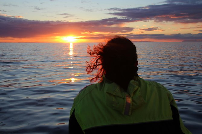 Midnight Sun Whale Watching from Reykjavik - Meeting point and the Old Harbour start: where your night begins