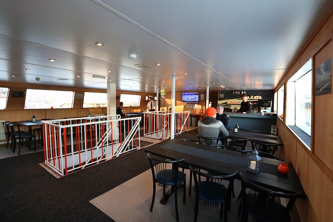 New Years Fireworks by Boat from Reykjavik - Fireworks Over the Bay: What the 360 View Actually Does